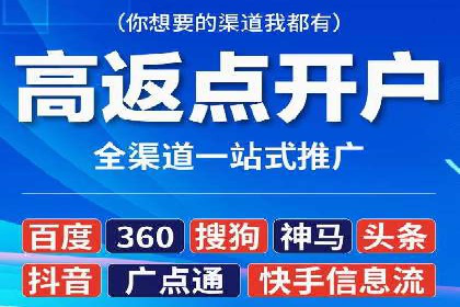 百度推广与SEO结合案例：提升网站排名的技巧