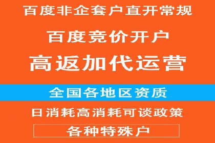 百度竞价托管公司如何实现广告投放的ROI最大化